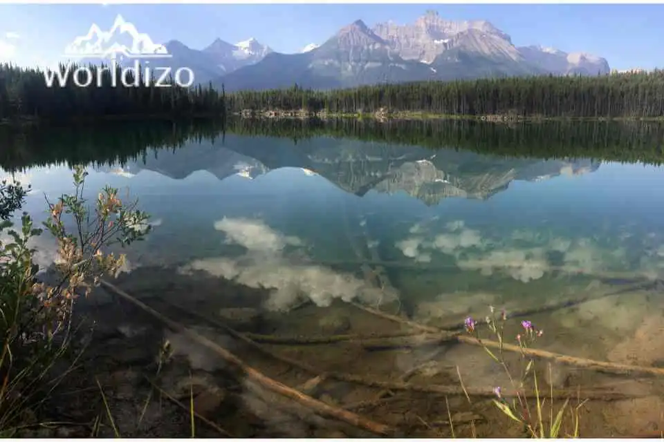 Crowfoot Glacier